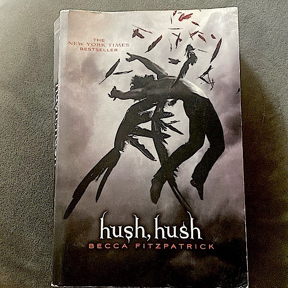 Hush hush book one - Picture 1 of 1